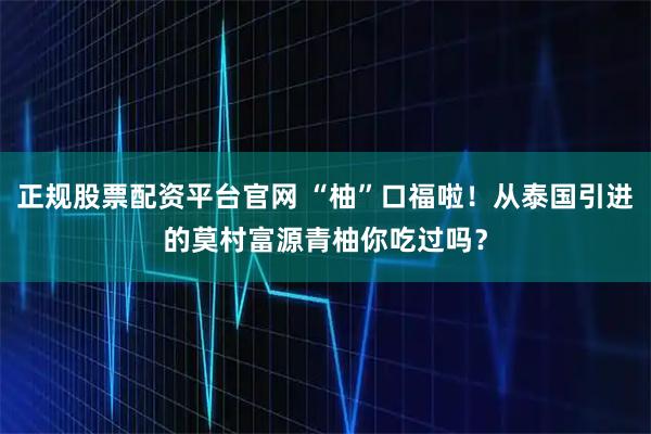 正规股票配资平台官网 “柚”口福啦！从泰国引进的莫村富源青柚你吃过吗？