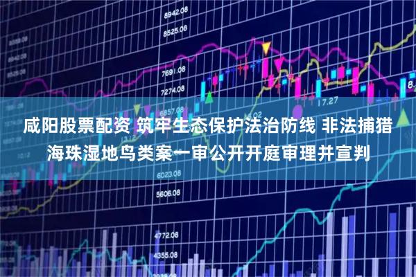 咸阳股票配资 筑牢生态保护法治防线 非法捕猎海珠湿地鸟类案一审公开开庭审理并宣判