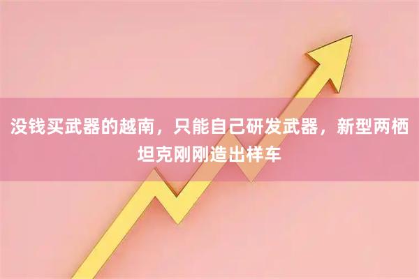 没钱买武器的越南，只能自己研发武器，新型两栖坦克刚刚造出样车